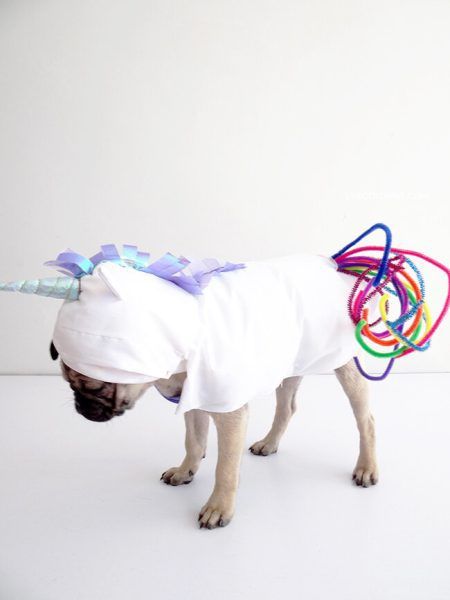 Unicorn Dog Costume