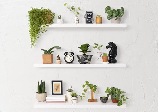 Home decor indoor plant shelf