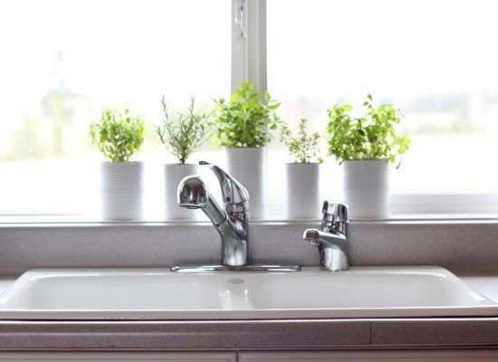 Window Sill Herb Garden