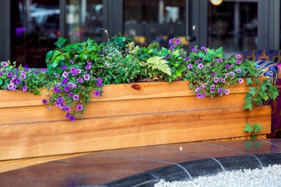 A wooden pot of brown planks with leafy plants and flowers mounted on black marble in the background of a black window.