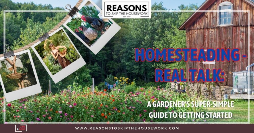 Homesteading guide