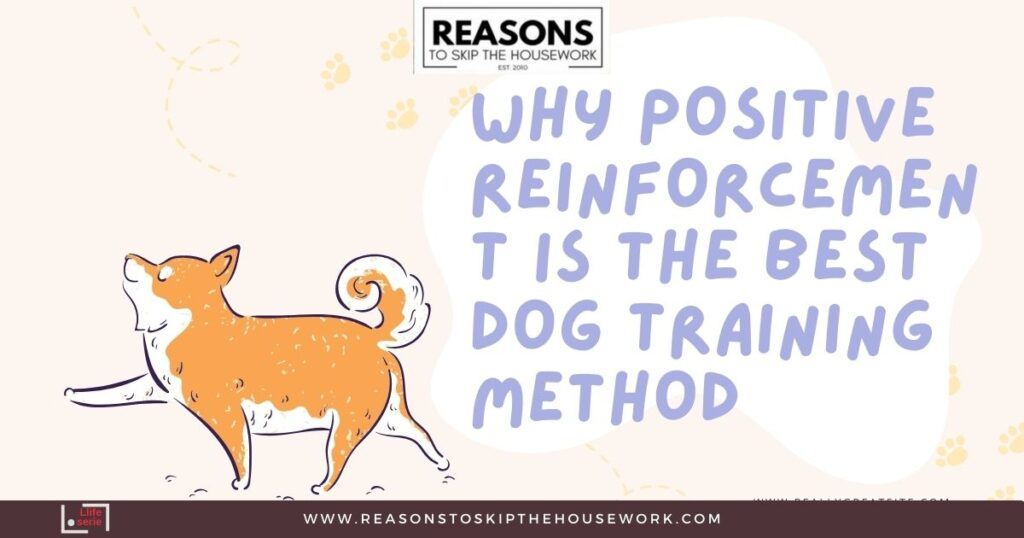 Why Positive Reinforcement is the Best Dog Training Method