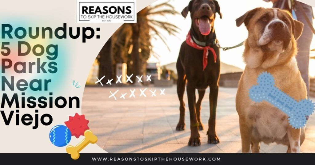 5 Dog Parks Near Mission Viejo