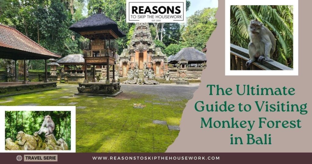 The Ultimate Guide to Visiting Monkey Forest in Bali