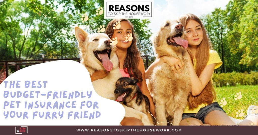the Best Budget-Friendly Pet Insurance for Your Furry Friend