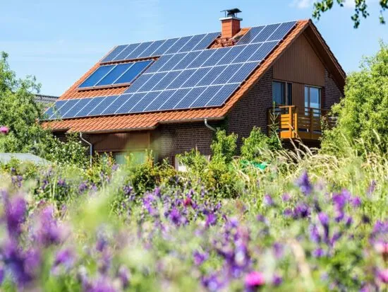 Essential Eco-Friendly Upgrades for Any Rental Property